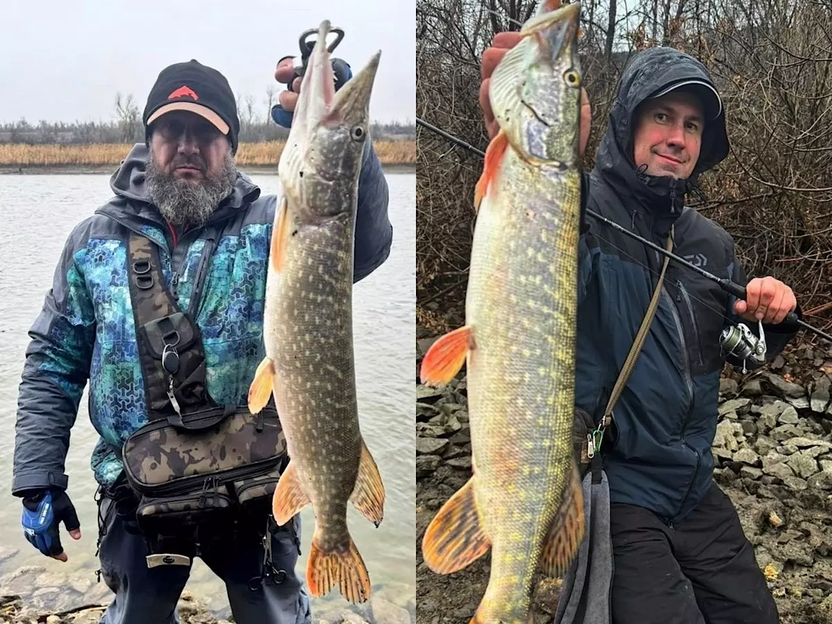 Заядлые рыбаки из Новочеркасска поймали огромных щук