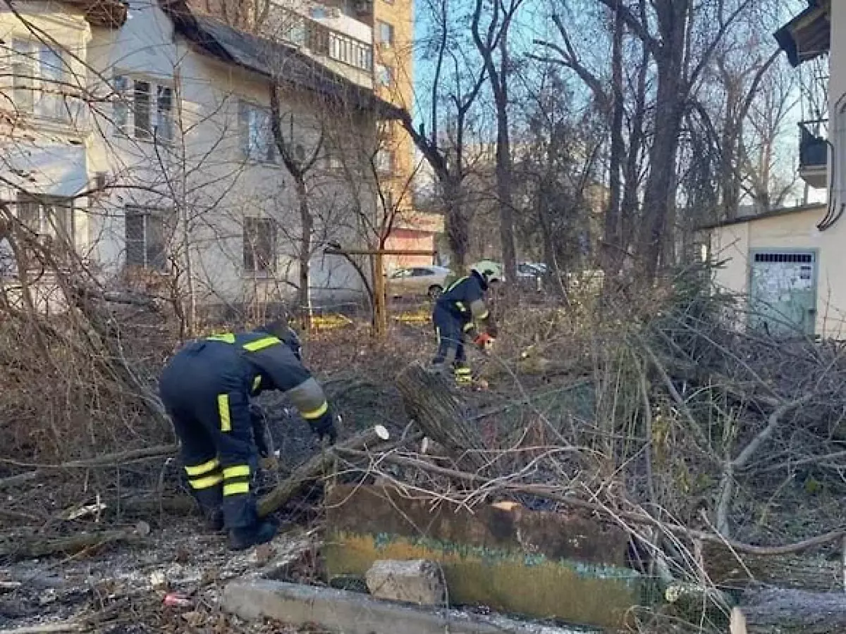 В Ростове штормовой ветер повалил девять аварийных деревьев