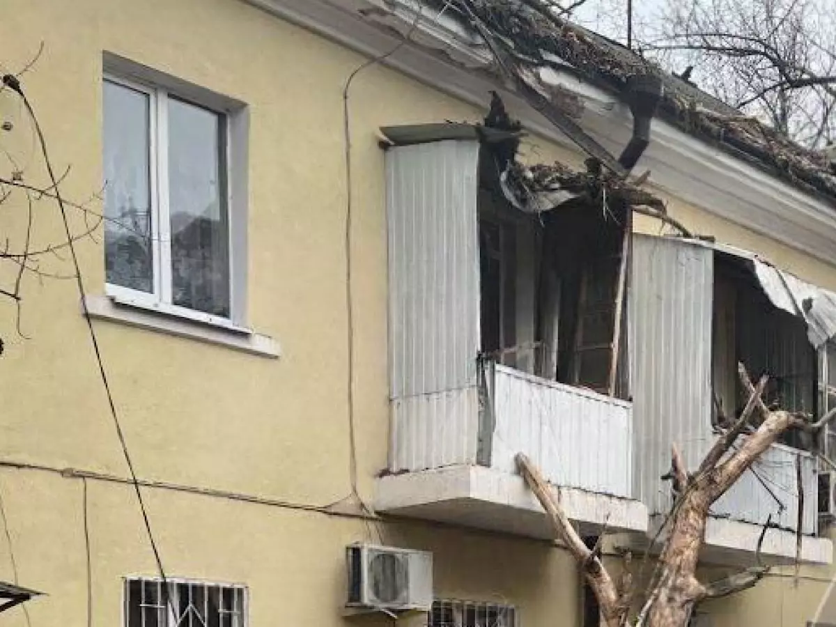 В Ростове на Киргизской гигантское дерево упало на жилой дом