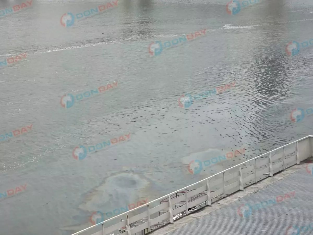 Минприроды подтвердило наличие маслянистого пятна в реке Дон