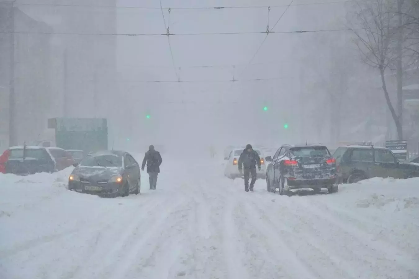 Метель накроет Ростовскую область к концу рабочей недели