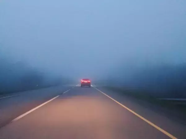 Донских водителей предупредили об ухудшении видимости на дорогах из-за тумана