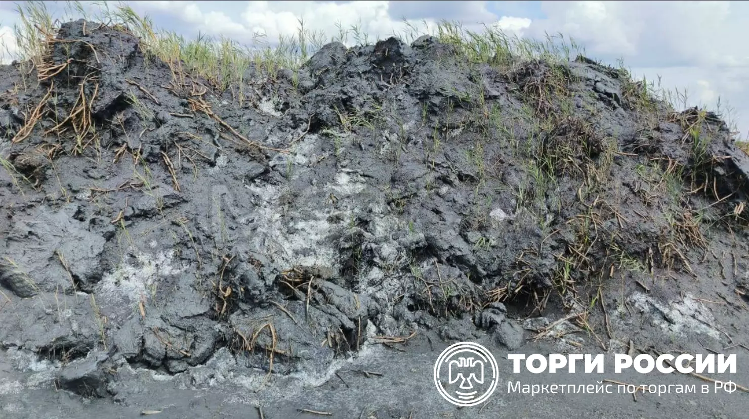 Земли с угольным шламом «Шахты Ростовской» выставили на торги за 100 млн рублей