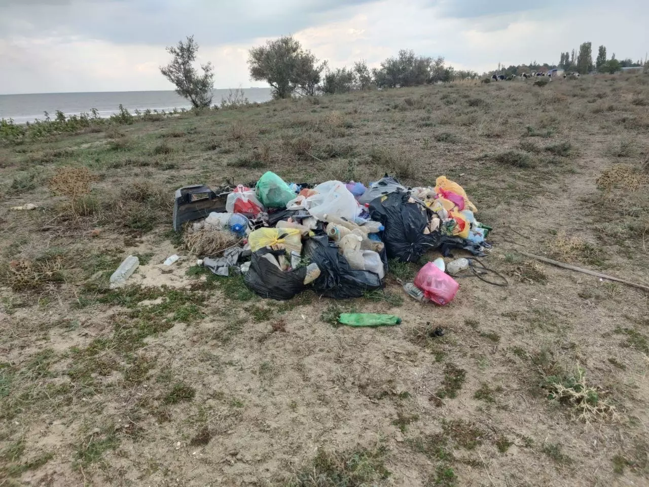 Мертвые птицы и горы мусора: жители Ростовской области обеспокоены состоянием Павло-Очаковской косы