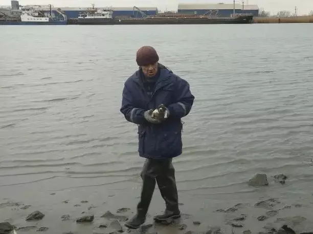 В Ростовской области спасатели вытащили слепого щенка с тонкого льда