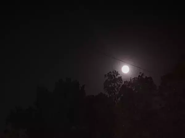 В Ростовской области сбили три беспилотника в ночь на 18 декабря