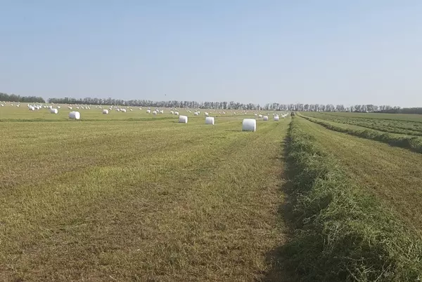 Расширение поддержки агробизнеса на Юге России