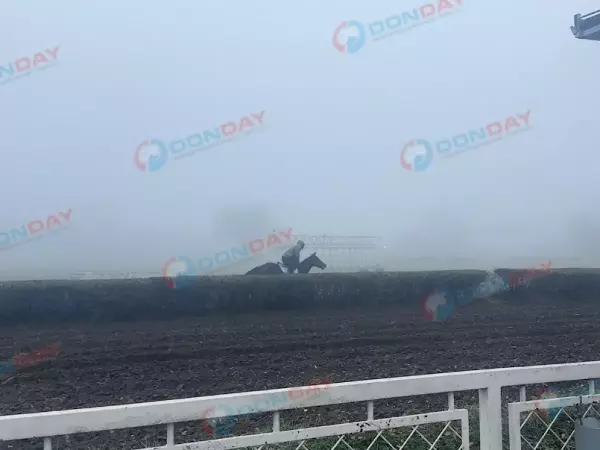 Фото к материалу: Ростовский ученый предложил перенести ипподром на Зеленый остров