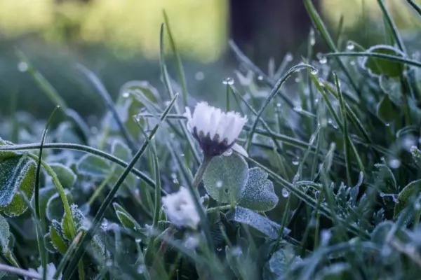 Фото к материалу: Желтый уровень погодной опасности из-за гололеда и метели объявили в Ростовской области