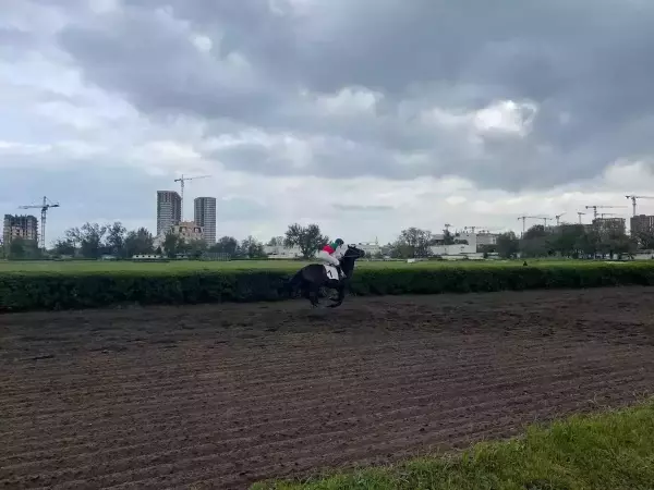 Фото к материалу: Юрий Слюсарь предложил определить судьбу ростовского ипподрома путем голосования