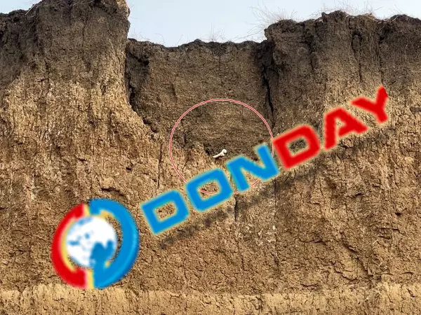 Фото к материалу: Останки умерших с заброшенного кладбища смывает в Таганрогский залив