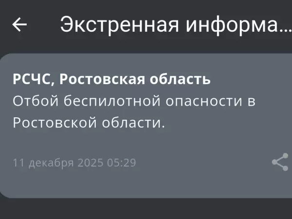 Фото к материалу: В Ростовской области утром 11 декабря объявили отбой беспилотной опасности