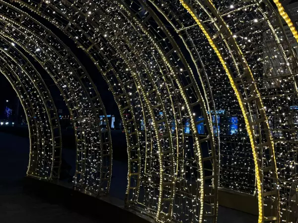 Фото к материалу: Праздник с последствиями: донской юрист рассказала о штрафах, которые можно получить в новогоднюю ночь