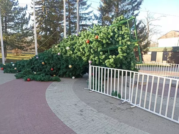 Фото к материалу: В Ростовской области из-за непогоды начали падать новогодние елки