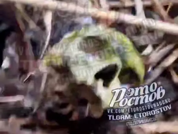 Фото к материалу: Череп и крестик: на берегу Северного водохранилища в Ростове нашли человеческие останки