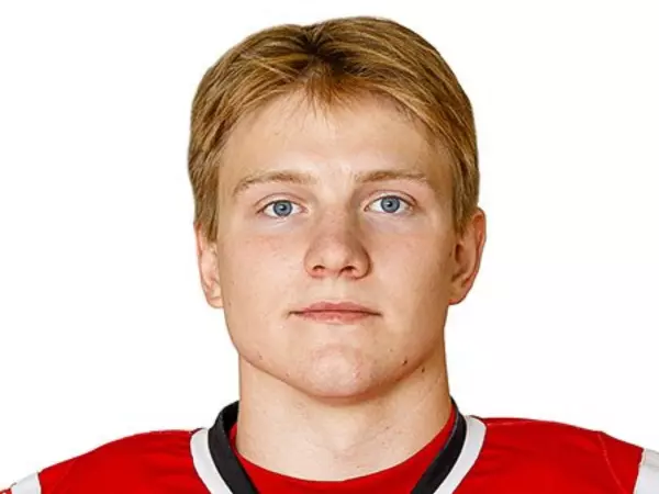 Фото к материалу: Игрок ХК «Ростов» Гавриил Волосков отстранен от трех матчей за нападение на судью