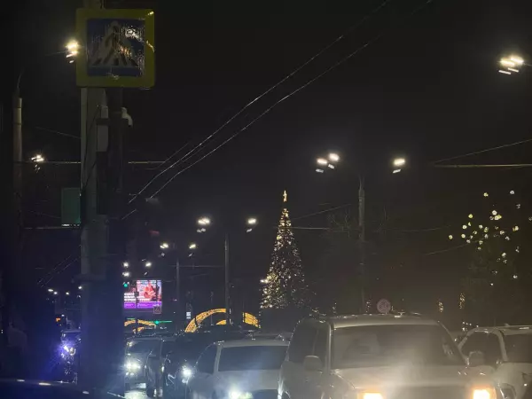 Фото к материалу: В Ростове у парка Горького завершили работы по украшению главной елки