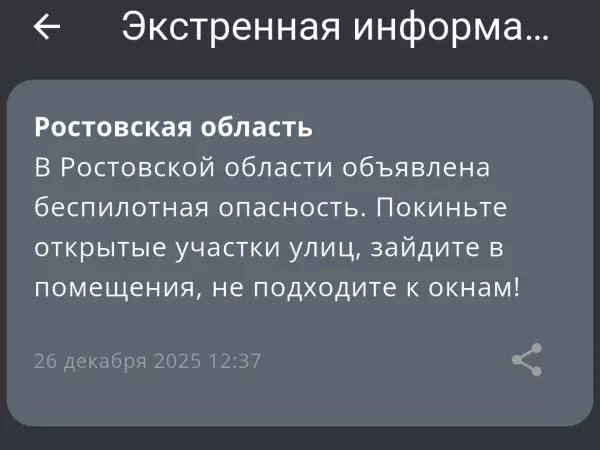 Фото к материалу: В Ростовской области днем 26 декабря объявили беспилотную опасность