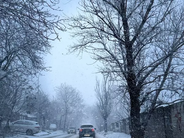Фото к материалу: Метель и мороз до -8 градусов: какой будет погода на Новый год в Ростове