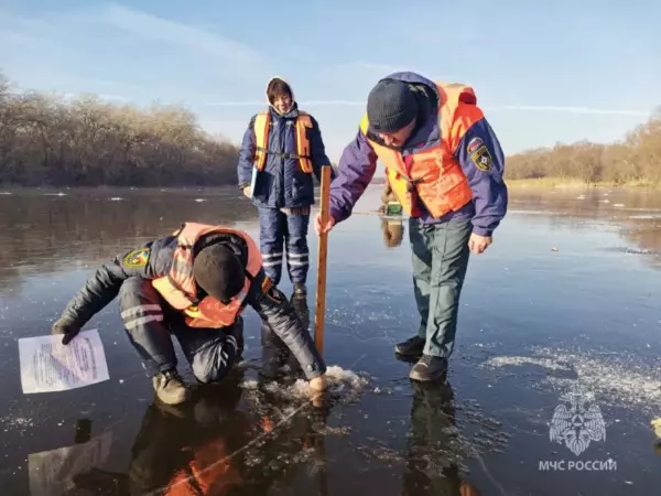 Фото к материалу: За сутки в Ростовской области потушили 11 пожаров