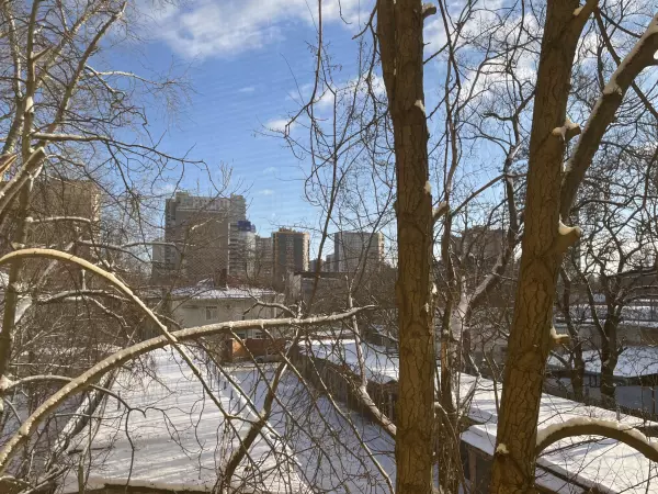 Фото к материалу: Мороз и солнце: какая погода ждёт ростовчан в канун Нового года