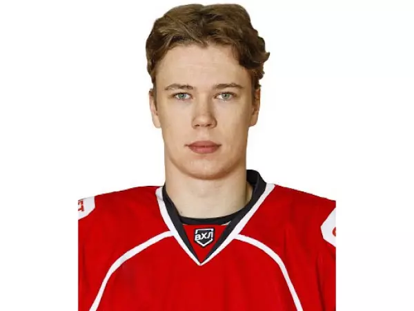 Фото к материалу: Нападающего ХК «Ростов» дисквалифицировали на пять матчей за нападение на судью