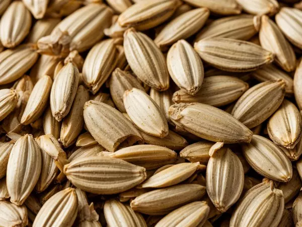 Фото к материалу: Более 50 тонн подсолнечника на Дону отправили на переработку из-за амброзии