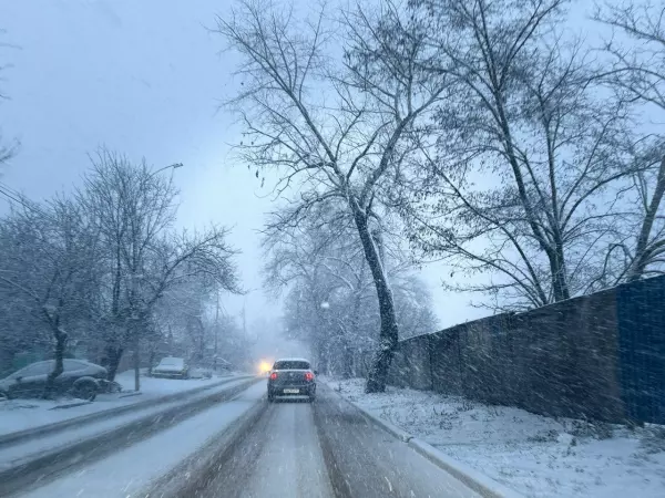 Фото к материалу: Донская Госавтоинспекция опубликовала график работы МРЭО на январские праздники