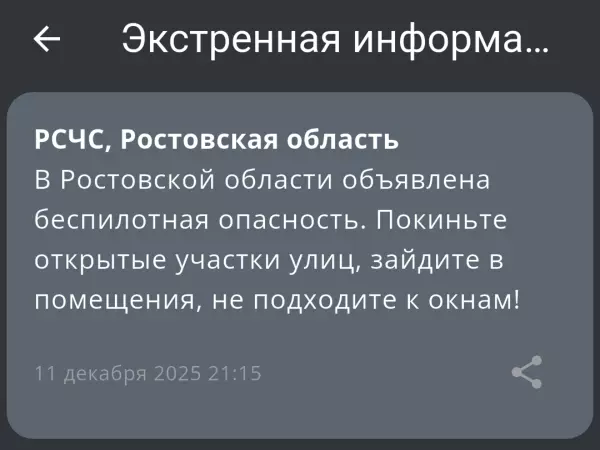 Фото к материалу: В Ростовской области вечером 11 декабря объявили беспилотную опасность