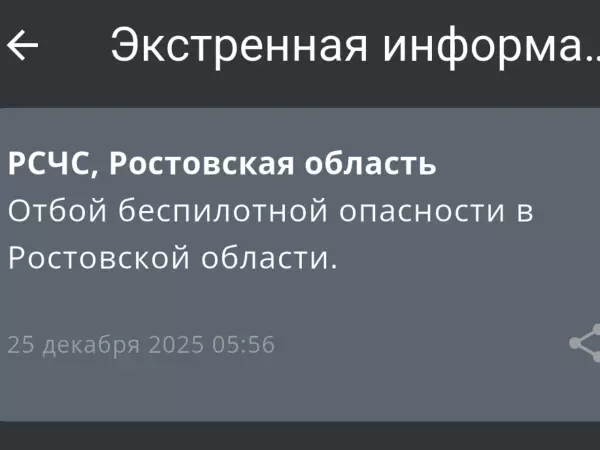 Фото к материалу: В Ростовской области объявили отбой беспилотной опасности 25 декабря
