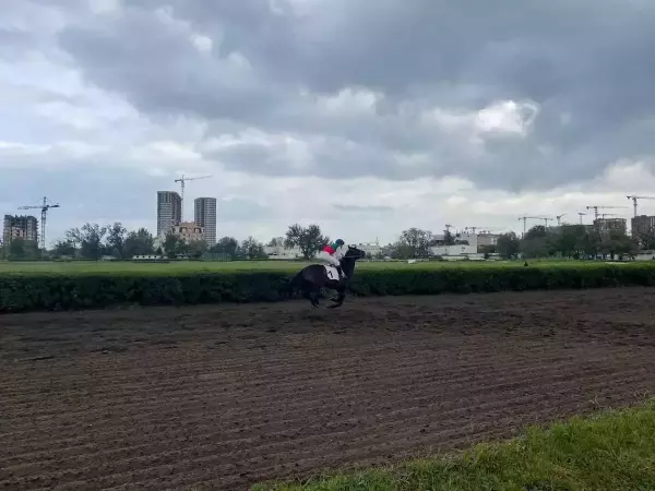 Фото к материалу: Конникам продлили срок содержания лошадей на ипподроме Ростова до мая 2026 года