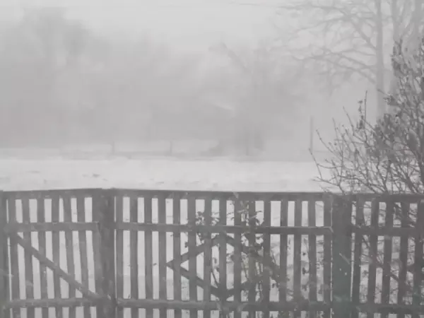 Фото к материалу: Хутор в Чертсковском районе Ростовской области занесло снегом 13 декабря