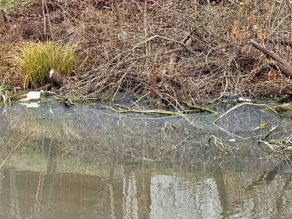 Фото к материалу: Жители Красного Сулина сняли сброс канализационных стоков в реку Гнилушу