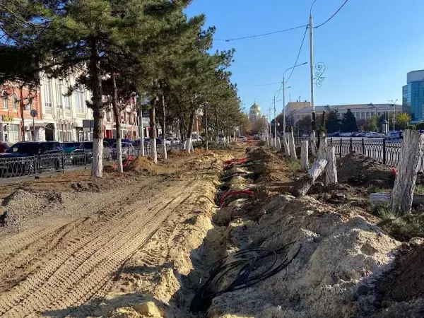 Фото к материалу: Юрий Слюсарь: В Новочеркасске на месте вырубленных деревьев на Платовском посадят 29 насаждений