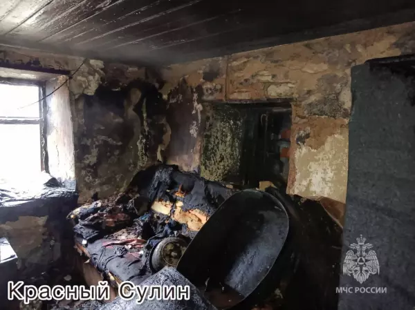 Фото к материалу: В Ростовской области за минувшие сутки при пожарах погибли два человека 