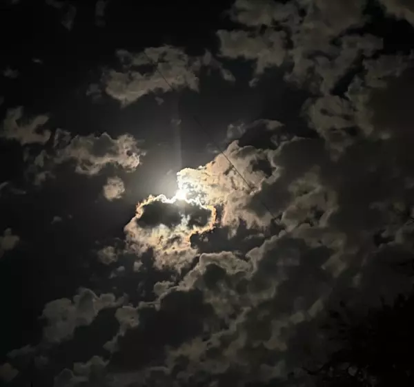 Фото к материалу: Пожарные тушат пострадавший от атаки БПЛА танкер в порту Ростова