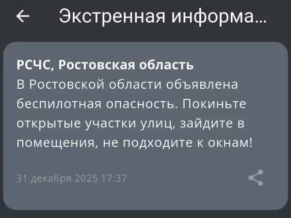 Фото к материалу: В канун Нового года в Ростовской области объявили беспилотную опасность