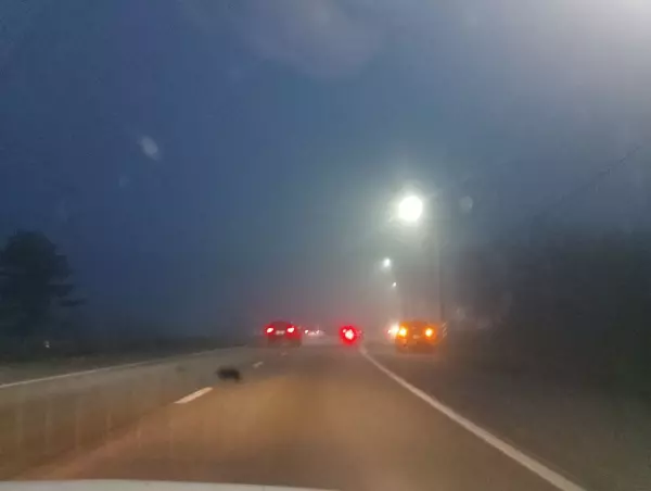 Фото к материалу: Гололед и туман: донских автомобилистов предупредили о непогоде на дорогах