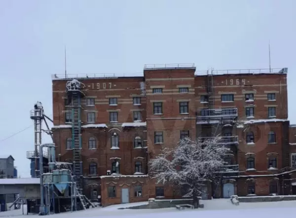 Фото к материалу: Миллеровский комбинат хлебопродуктов выставили на продажу за 60 миллионов рублей