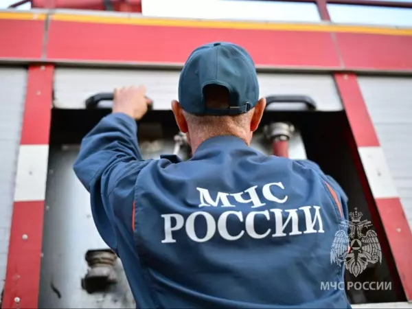 Фото к материалу: За прошедшую неделю в Ростовской области потушили более 90 пожаров