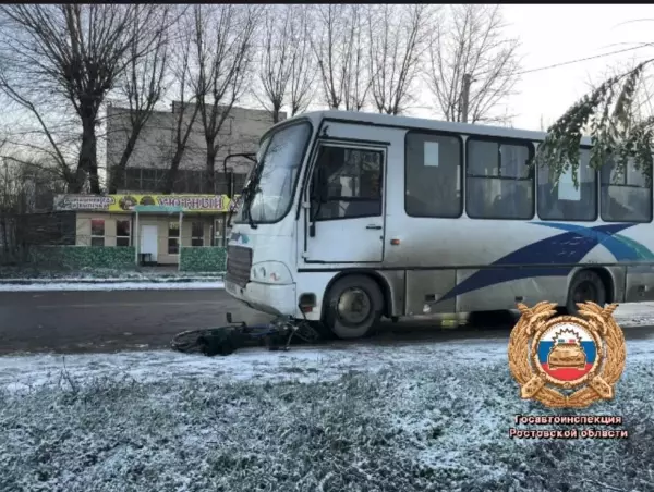 Фото к материалу: В Ростовской области водитель автобуса сбил пенсионера на велосипеде