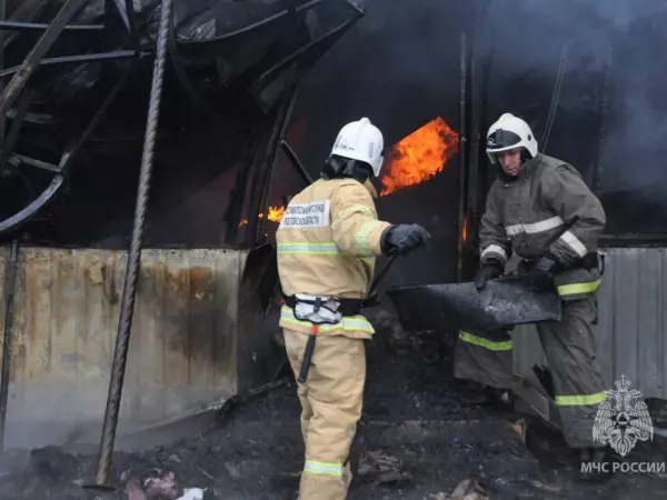 Фото к материалу: За сутки в Ростовской области потушили 15 пожаров