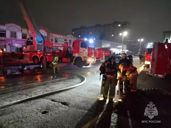 Фото к материалу: За сутки в Ростовской области потушили восемь пожаров