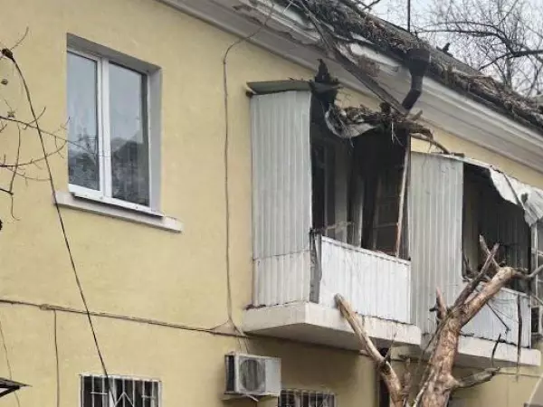 Фото к материалу: В Ростове на Киргизской гигантское дерево упало на жилой дом