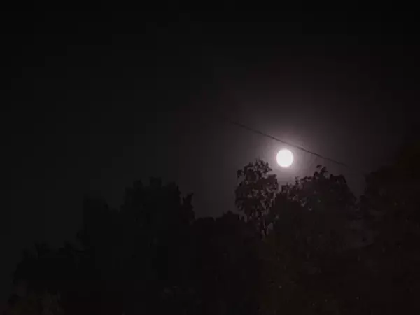 Фото к материалу: Из-за атаки беспилотников житель Ростовской области получил ожоги