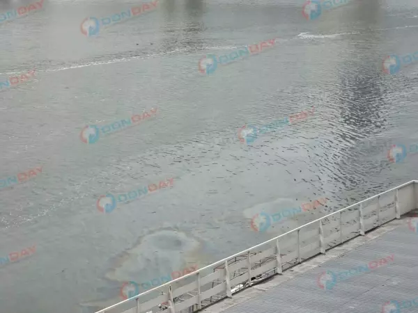 Фото к материалу: Минприроды подтвердило наличие маслянистого пятна в реке Дон