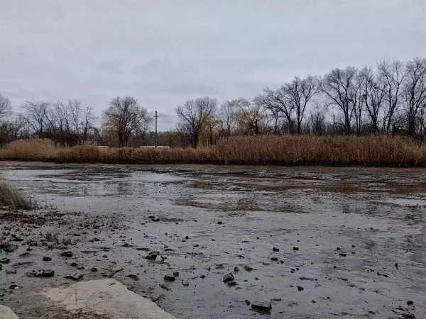 Фото к материалу: Из-за сильного ветра река Азовка в Азове экстремально обмелела
