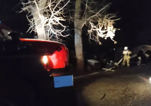 Фото к материалу: Два человека погибли в жутком пожаре в Багаевском районе