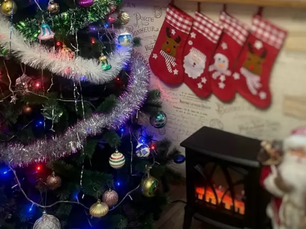 Фото к материалу: Врач из Ростовской области рассказала, как праздничные ели влияют на здоровье