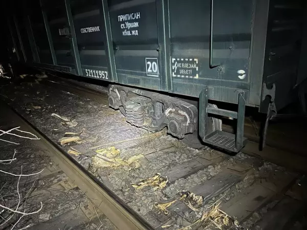 Фото к материалу: В Ростовской области будут судить мастера цеха, по вине которого сошли шесть вагонов